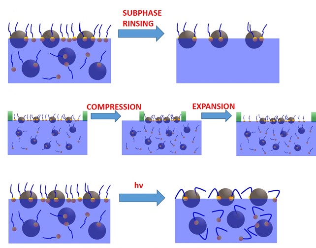 Descrizione grafica dei diversi approcci impiegati per la riconfigurazione strutturale degli strati di nanoparticelle all’interfaccia.