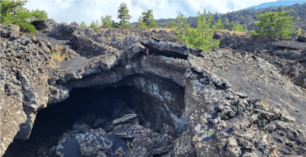 Vegetazione presente sull'Etna