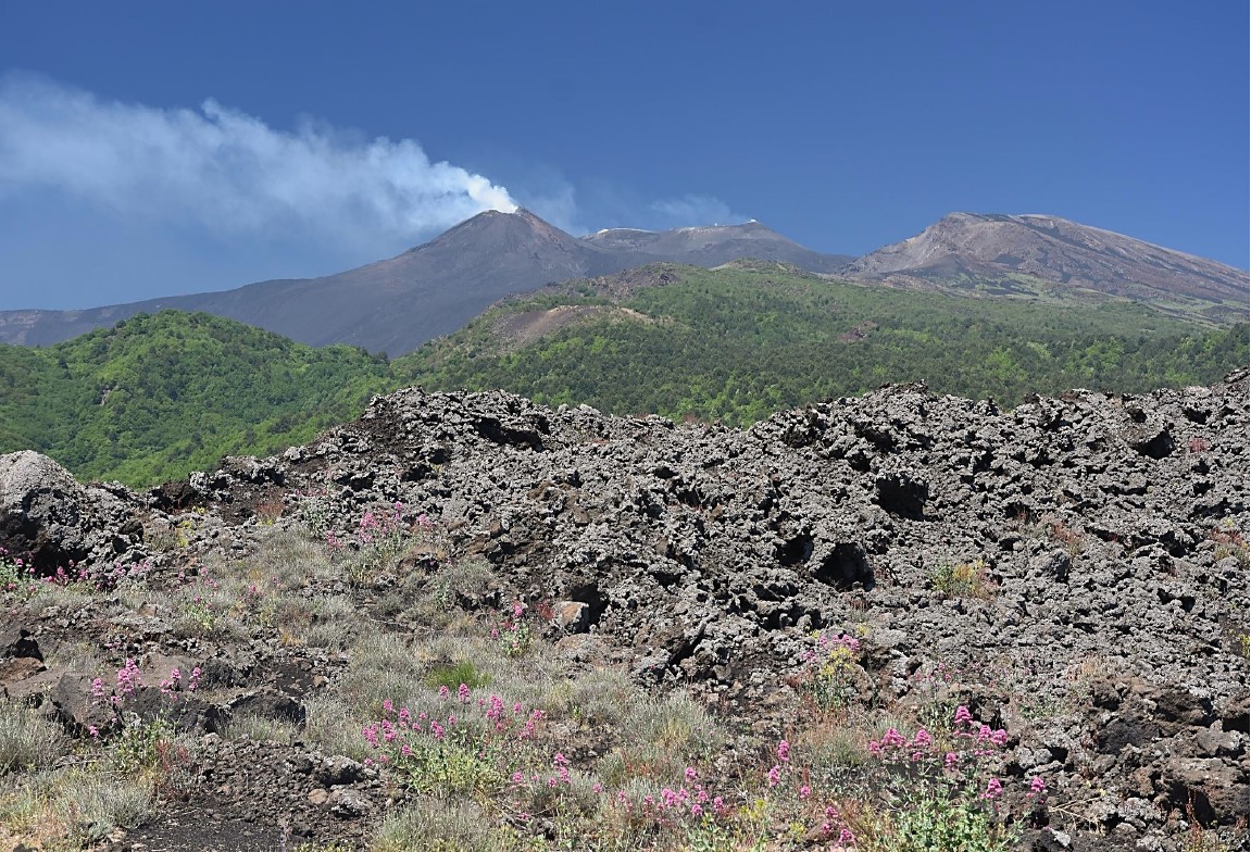 Colata lavica e vegetazione dell'Etna