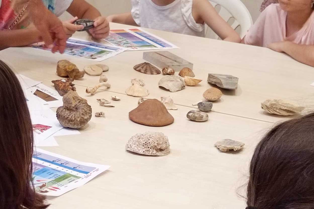 Un momento dell'attività di laboratorio di Paleontologia. Riconoscimento fossili