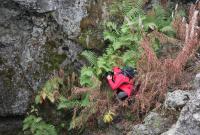 Attività di campionamento nella grotta dei Lamponi nel Parco dell'Etna