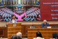 La senatrice Mariolina Castellone