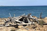 Escursione naturalistica guidata alla Riserva Naturale Orientata di Vendicari