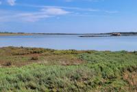 Escursione naturalistica guidata alla Riserva Naturale Orientata di Vendicari