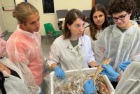 Progetto OUI, attività laboratoriali della summer school