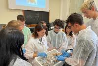 Progetto OUI, attività laboratoriali della summer school